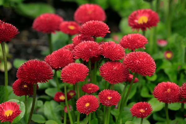 Boutique d'un designer d'intérieur : Comment sélectionner des articles pour la maison